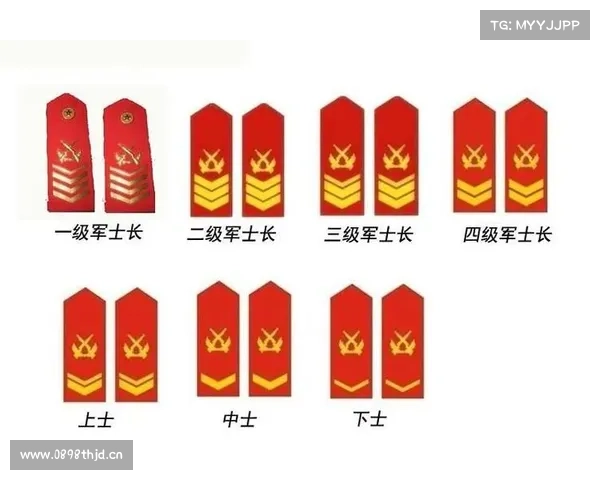 亚洲十国现役6×6军卡一览 亚洲十国现役6×6军卡一览