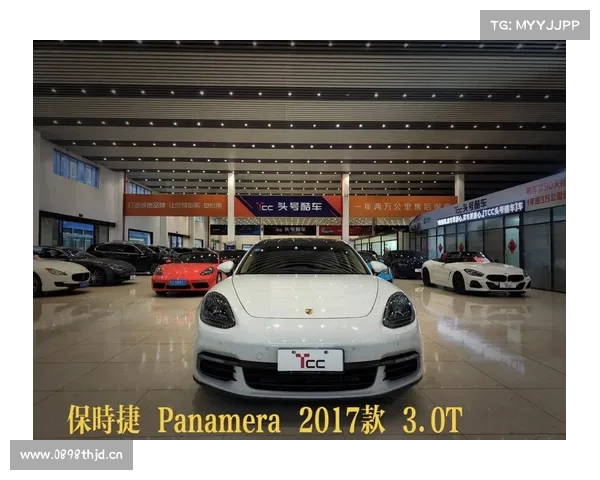 保时捷-Panamera-2017-保养提示诊断仪复位方法 保时捷-Panamera-2017-保养提示诊断仪复位方法
